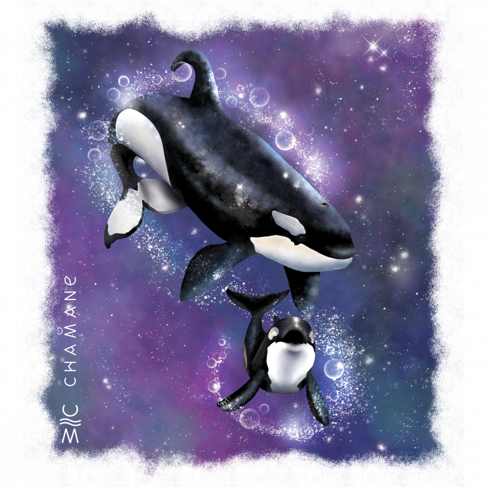 Illustrations d'une maman orque et de son petit.